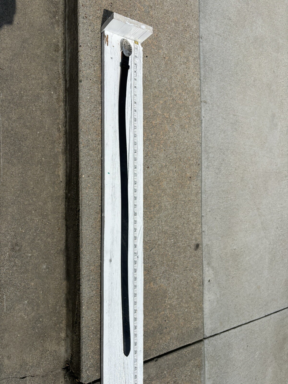 Picture 7 of 7
