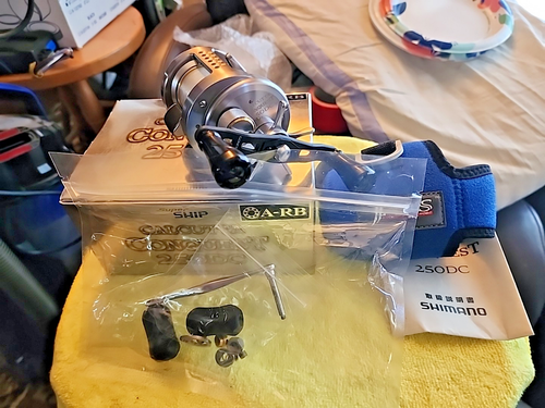 Seltene Shimano CALCUTTA CONQUEST Ctcnq 250dc Near Mint