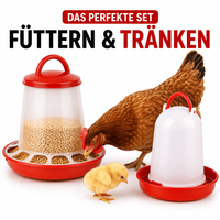 Futterautomat + TräNke Set Futterspender Trinknapf HüHnersträNke GeflüGel HüHner