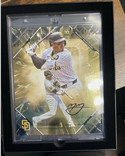 Panini Lands Exclusive USA Baseball Card License 20