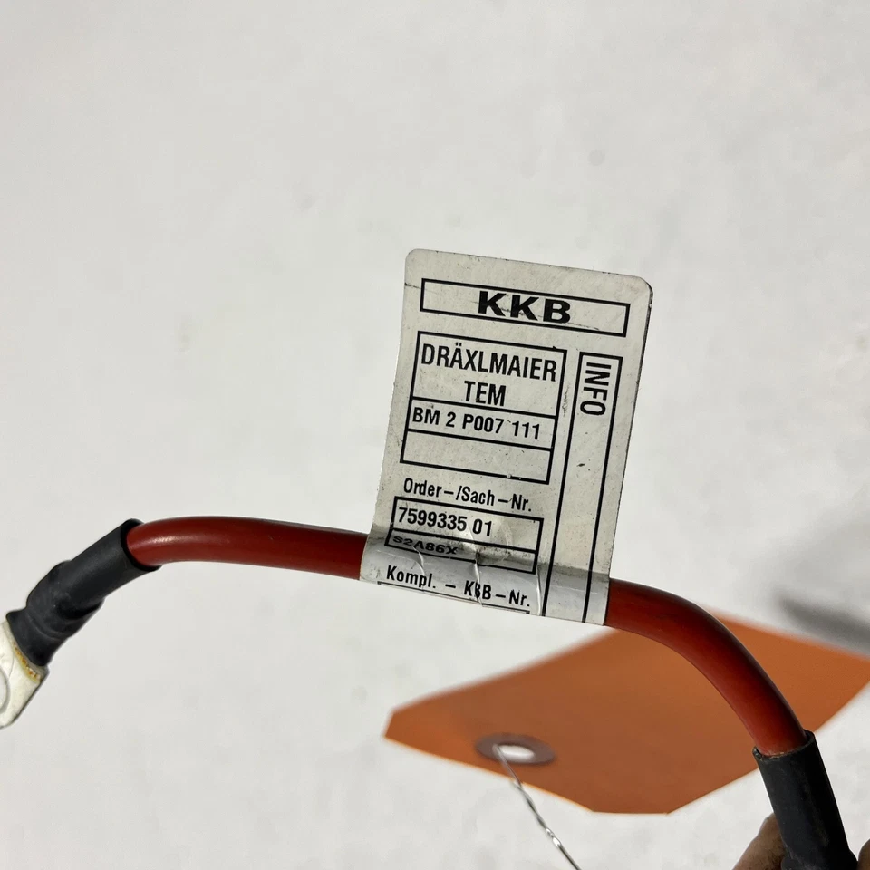 Cable adaptador módulo batería BMW 535i xDrive 2010-2016 OEM Foto 3 de 4