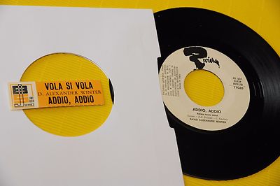 ''DAVID ALEXANDRE WINTER 7'''' VOLA SI VOLA ITALY JB CON STICKER EX !!!!!!!!!!''