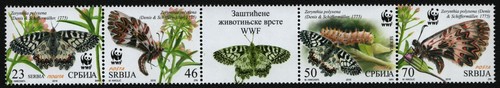 Serbien 2016 - Mi-Nr. 657-660 ** - MNH - Schmetterlinge / Butterflies