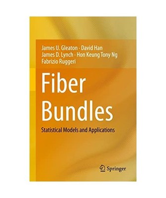 Fiber Bundles: Statistical Models and Applications: Statistical Models and Appli
