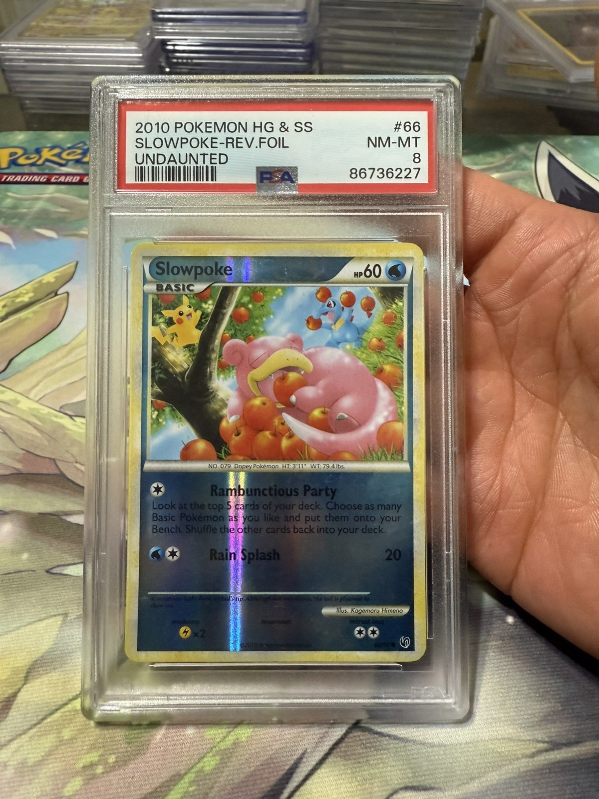 Pokemon Slowpoke 66/90 Undaunted REVERSE Holo PSA 8 (ONLY SLAB OF IT ON EBAY)