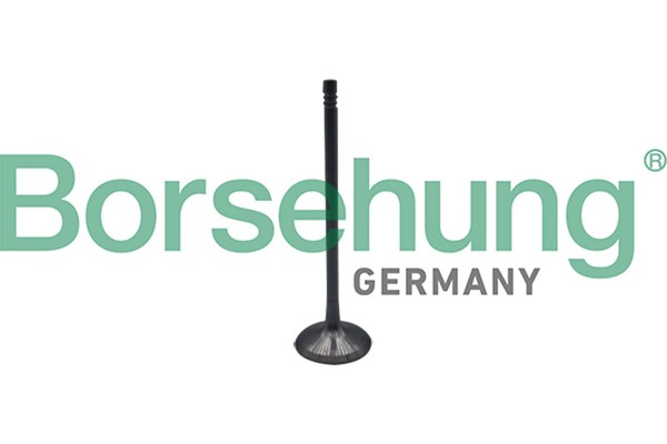 Einlassventil Borsehung B10323 FüR BMW 3Er F30 F80 Turismo F34 Touring F31 5Er-image
