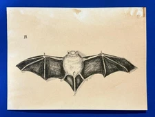 Alberto Durero (Handmade) Drawing on antique paper Signed and Sealed.