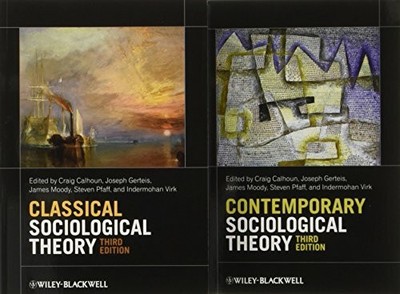 Classical and Contemporary Sociological Theory Buch John Wiley & Sons Inc