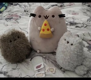 pusheen pizza plush