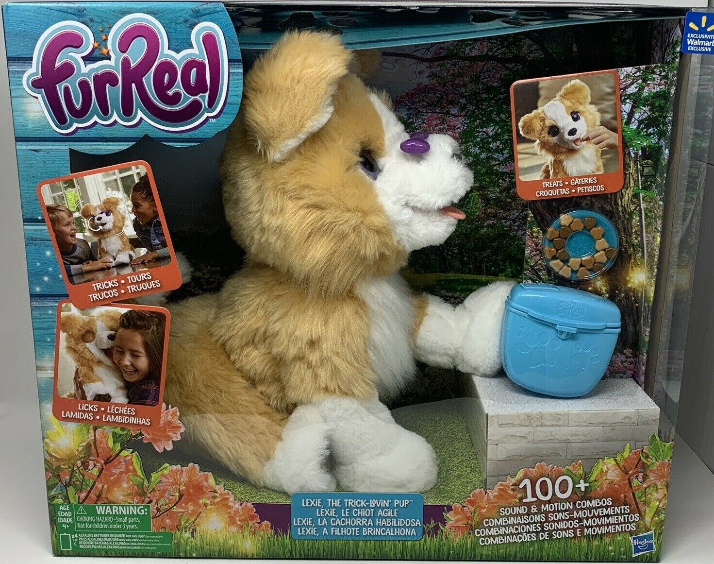 lexie the trick lovin pup