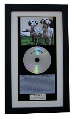 REX ORANGE COUNTY Who Cares? CLASSIC CD ALBUM QUALITY FRAMED+EXPRESS GLOBAL SHIP