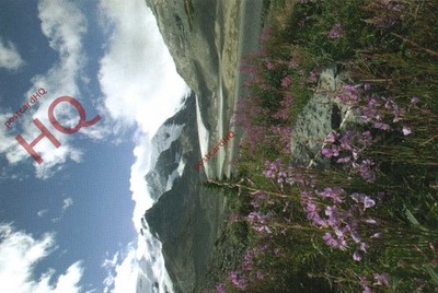 Ansichtskarte ~ Kanada, Rocky Mountaineer, Columbia Gletscher, Wildblumen