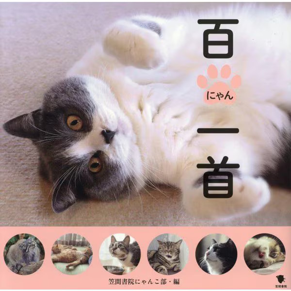 Hundred Nyan Isshu Hardcover Japan Import Authentic Novelty Cat Book