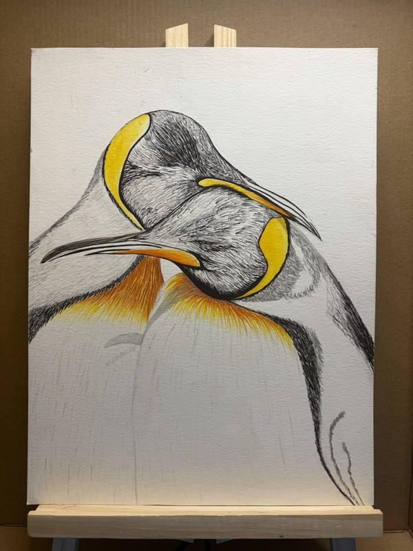 Original Watercolor On Paper, Penguins ,9” X 12” By Jadysbel
