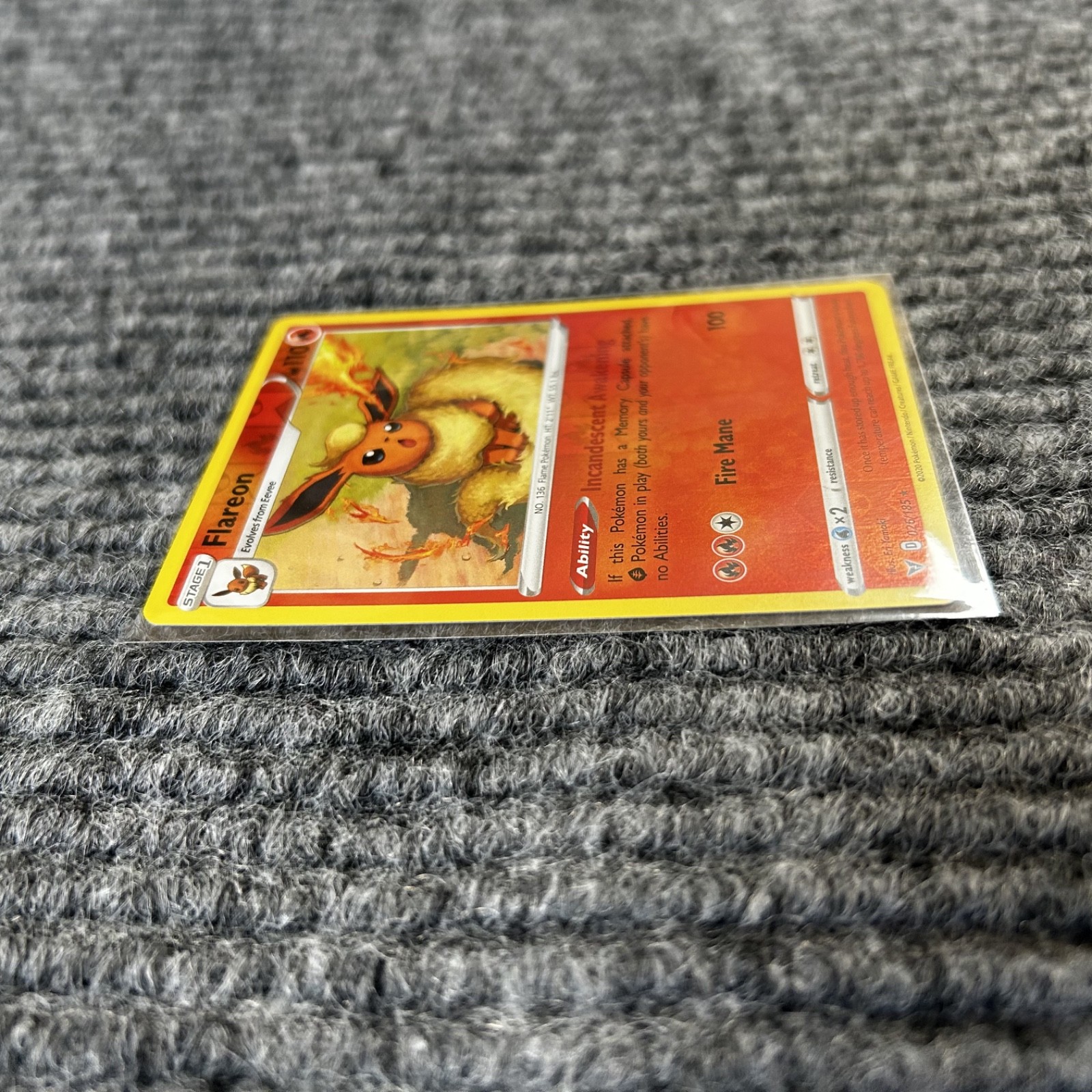 Bild 11 von 14