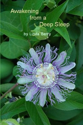 Awakening From A Deep Sleep Linda Berry Taschenbuch Kartoniert / Broschiert 2009