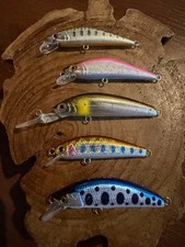mountain stream minnow