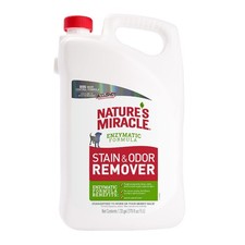 Nature  S Miracle  Stain  Odor Remover, Tough on Dog Urine, Feces, Vomit, Drool