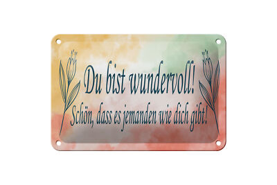 Blechschild Spruch 18x12 cm du bist wundervoll schön das es Deko Schild