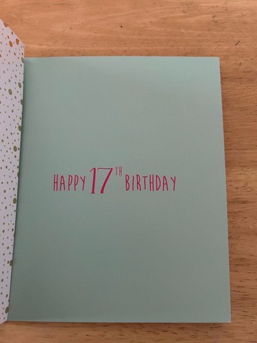 17 YEAR OLD BIRTHDAY CARD - 9 DESIGNS TO CHOOSE FROM - OTHER LISTING TOO - Picture 17 of 27