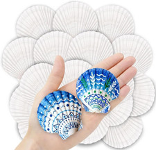 36PCS Natural Scallop Shells for Crafts, 2-3 in White Seashells for Paint for