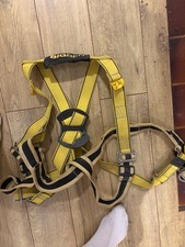 Big Ben Harness