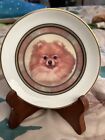Miniature Pomeranian Dog Collector Plate And Wooden Frame