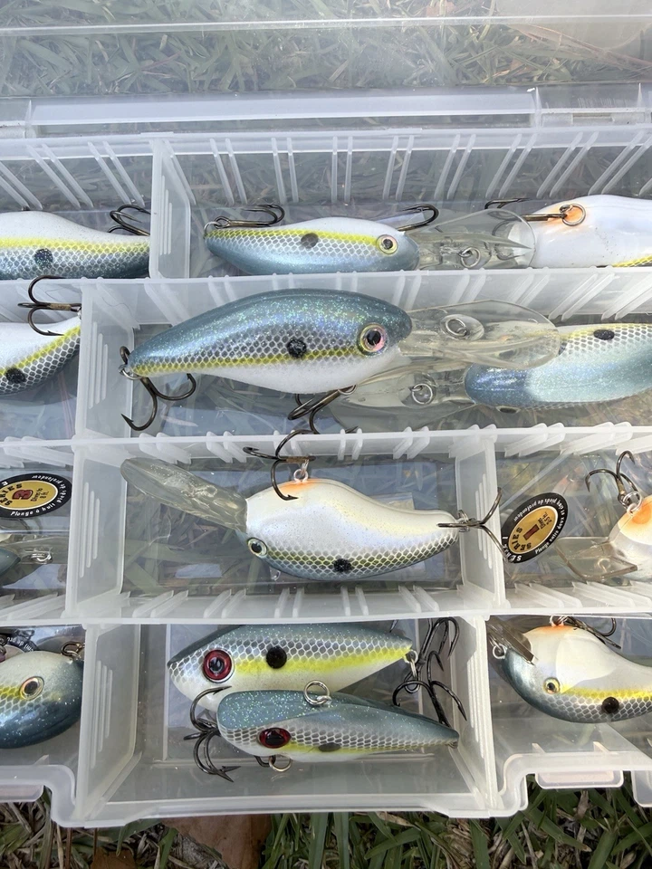 Strike King Pro Series Set Of 14 Sexy Shad Fishing Lures Various Sizes&series - Image 3 of 4