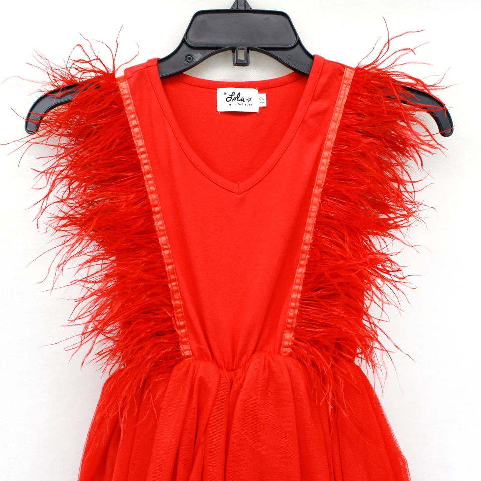 Lola The Boys Feather Trim Tiered Tulle Party Dress Kids Girl 12 Years Holiday - Image 2 of 4