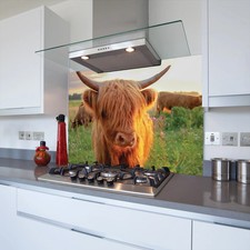 Highland Cow in the Sun Toughened Glass Kitchen Splashback - Adhesive Included