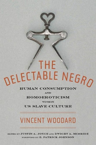 Vincent Woodard The Delectable Negro (Hardback) Sexual Cultures