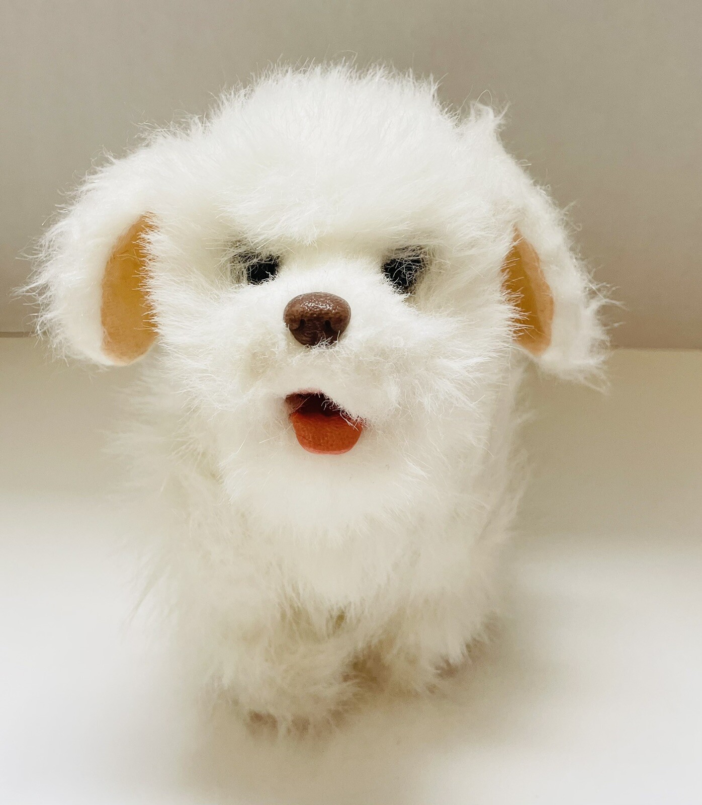 bravecto flea pills for cats