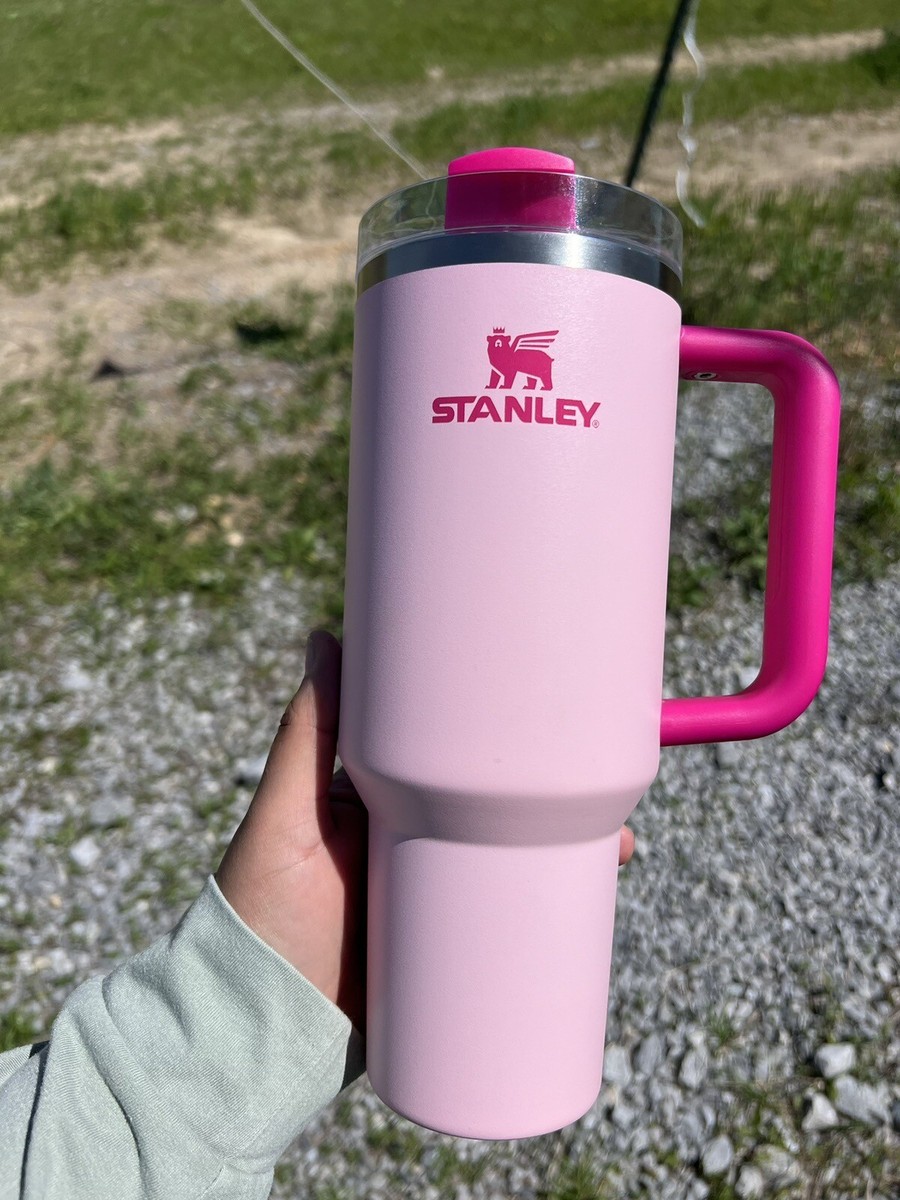 LIMITED EDITION Flamingo Stanley 40 oz Stainless Steel