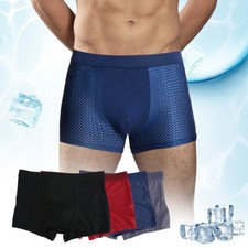 4 PACK For Men BambooWear Underwear Shorts Ice Silk Mesh Boxer Briefs Men Gift