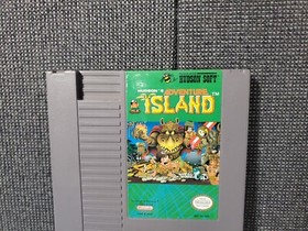 Hudson&rsquo;s Adventure Island (NES Nintendo, 1985) - Working