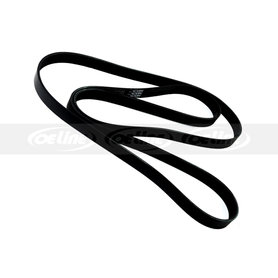 [1,12" ancho 8 costillas] Cinturón serpentino EPDM para 97-04 Ford E150 E250 F150 F250 5,4 L Foto 4 de 4