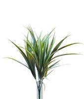 Artplants Deko Schilfgras Kanzile Auf Steckstab, GrüN-Weiß, 30Cm