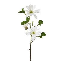 artplants KüNstlicher Zweig Sternmagnolie Blovi, Creme, 60Cm
