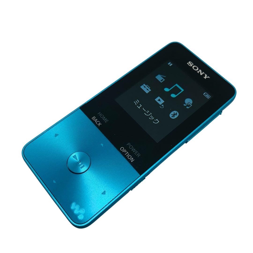 Sony Walkman NW-S313 Blue 4GB Digital Music Player MP3 Japan