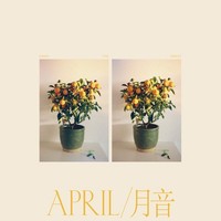 Emmy The Great April / 月音 Cd Neu