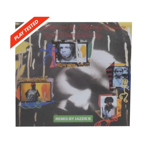Ziggy Marley & The Melody Makers Look Who’s Dancing Mixes 12” Inch Vinyl 1989