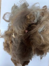 Alpaca/Llama Fiber for Bird Nesting gallon bag filled
