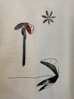 Foto 5 di 7