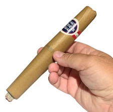 1 REDNECK GIANT JUMBO FAKE CIGAR Gag Joke Hobo Costume Prop Realistic Prank Toy