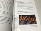 Foto 5 di 7