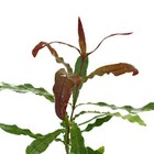 Foto 3 di 5