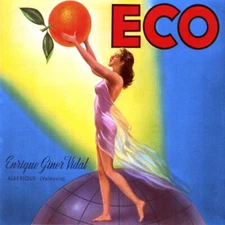 CRATE LABEL ECO VALENCIA ORANGE WORLD GLOBE FRUITS CITRUS VINTAGE POSTER REPRO