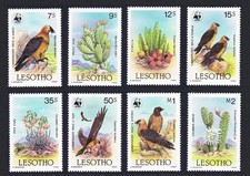 Lesotho WWF Lammergeier Birds Cacti WWF 8v 1986 MNH SG#677-684 MI#556-563