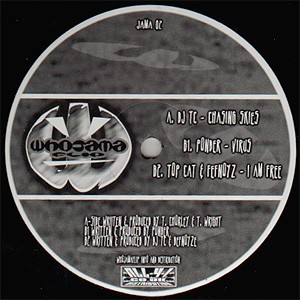 Various - Chasing Skies / Virus / I Am Free (12'')