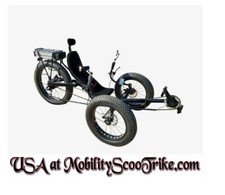 3 wheel fat tire adult electric bike trike